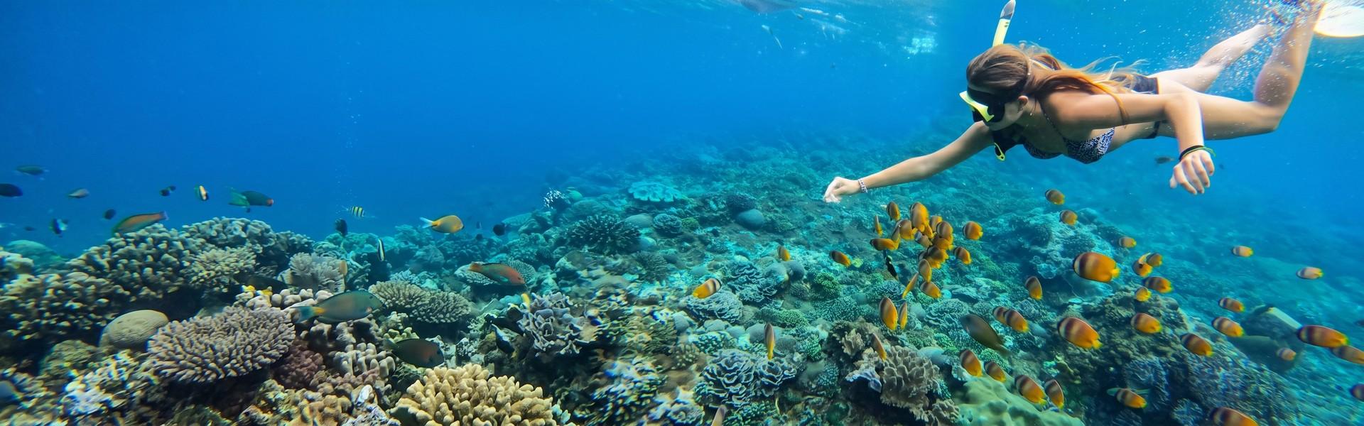Snorkeling