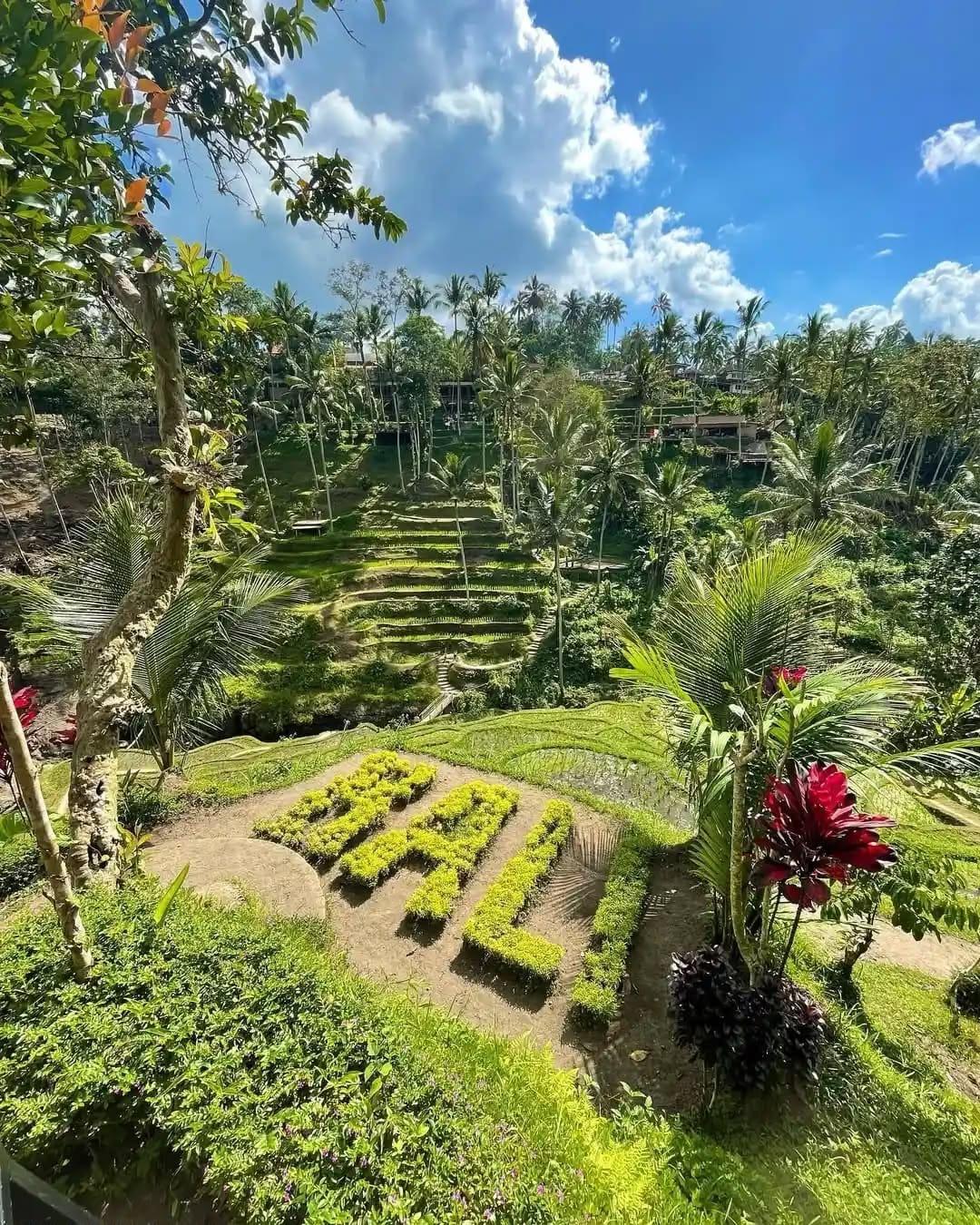 Ubud